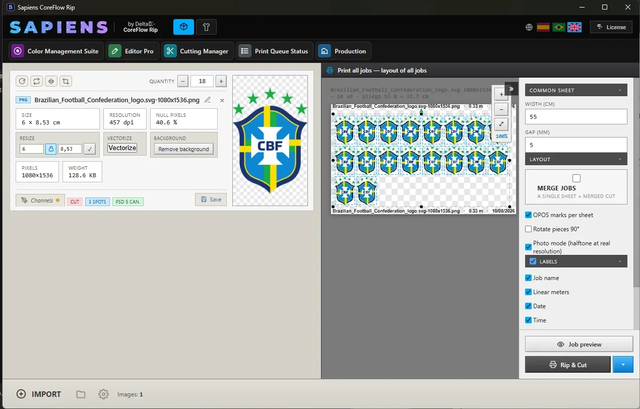 A computer screen displaying a design software interface with a logo of the Brazilian Football Confederation, featuring a blue shield, a white cross, and green stars, along with multiple thumbnail images of the same logo.
