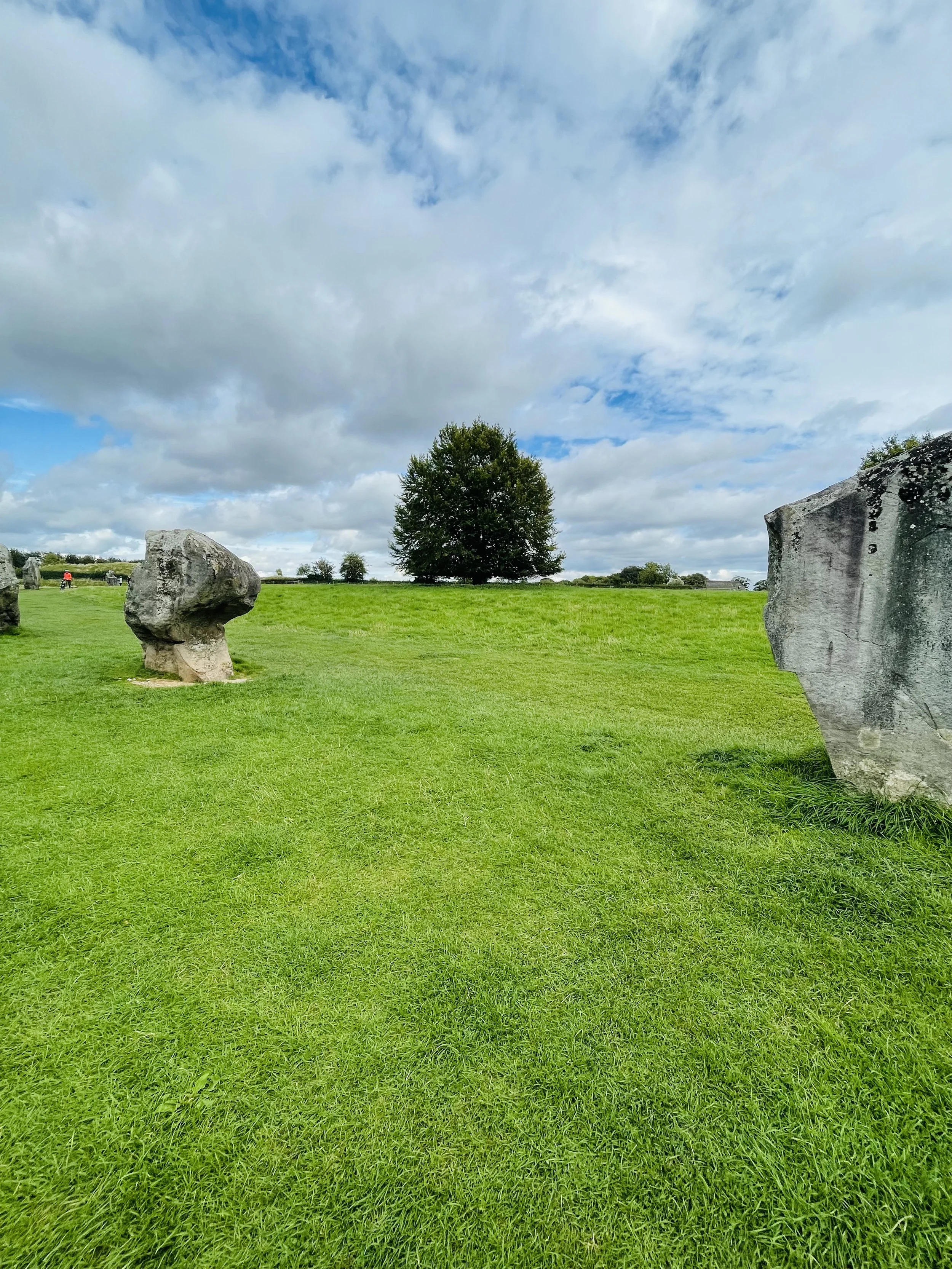 A grassy field with several large rocks and a solitary tree in the middle background under a partly cloudy sky.