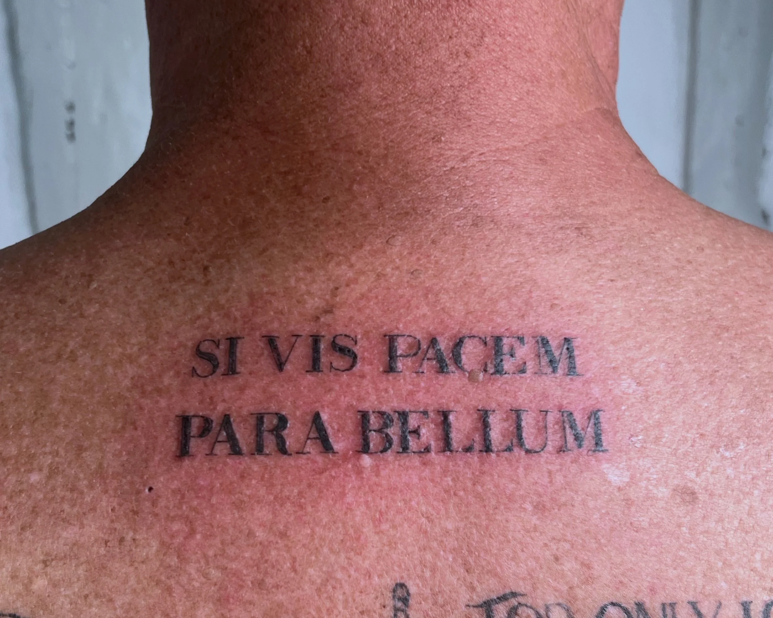 Si Vis Pacem Para Bellum Fine Line Tattoo