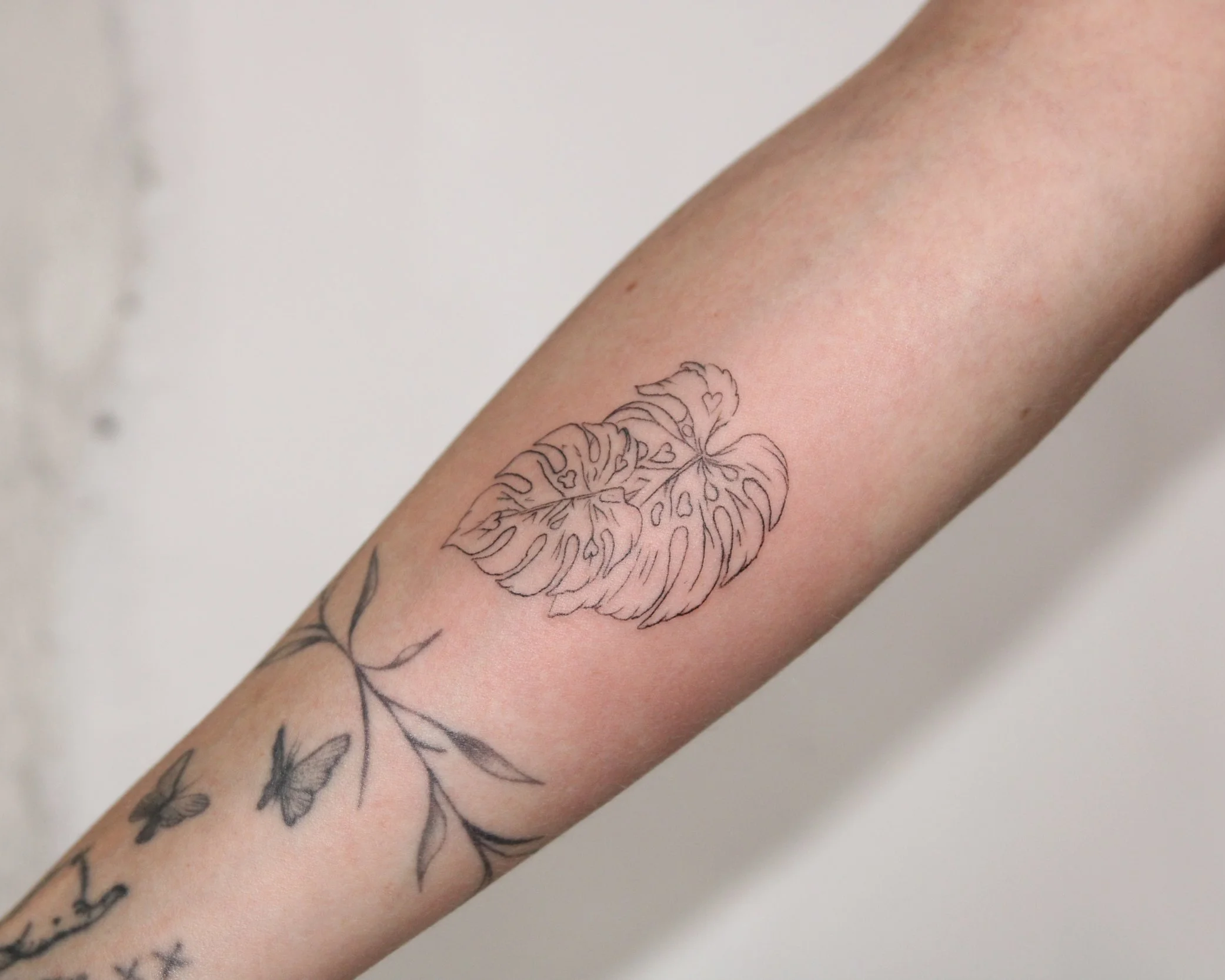 Fine line monstera tattoo