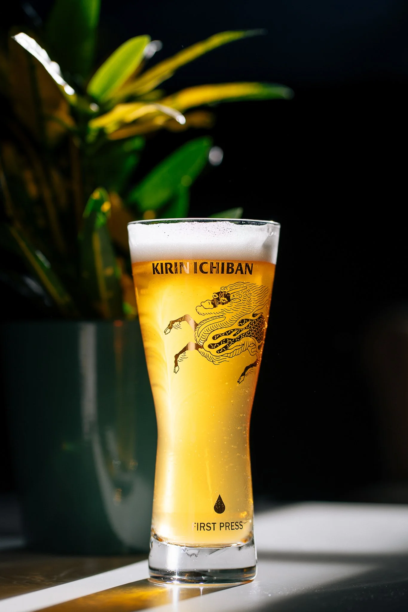 A tall glass of beer with a foamy head, labeled 'KIRIN ICHIBAN,' on a table with sunlight creating a shadow. In the background, there is a potted plant with green leaves against a dark backdrop.