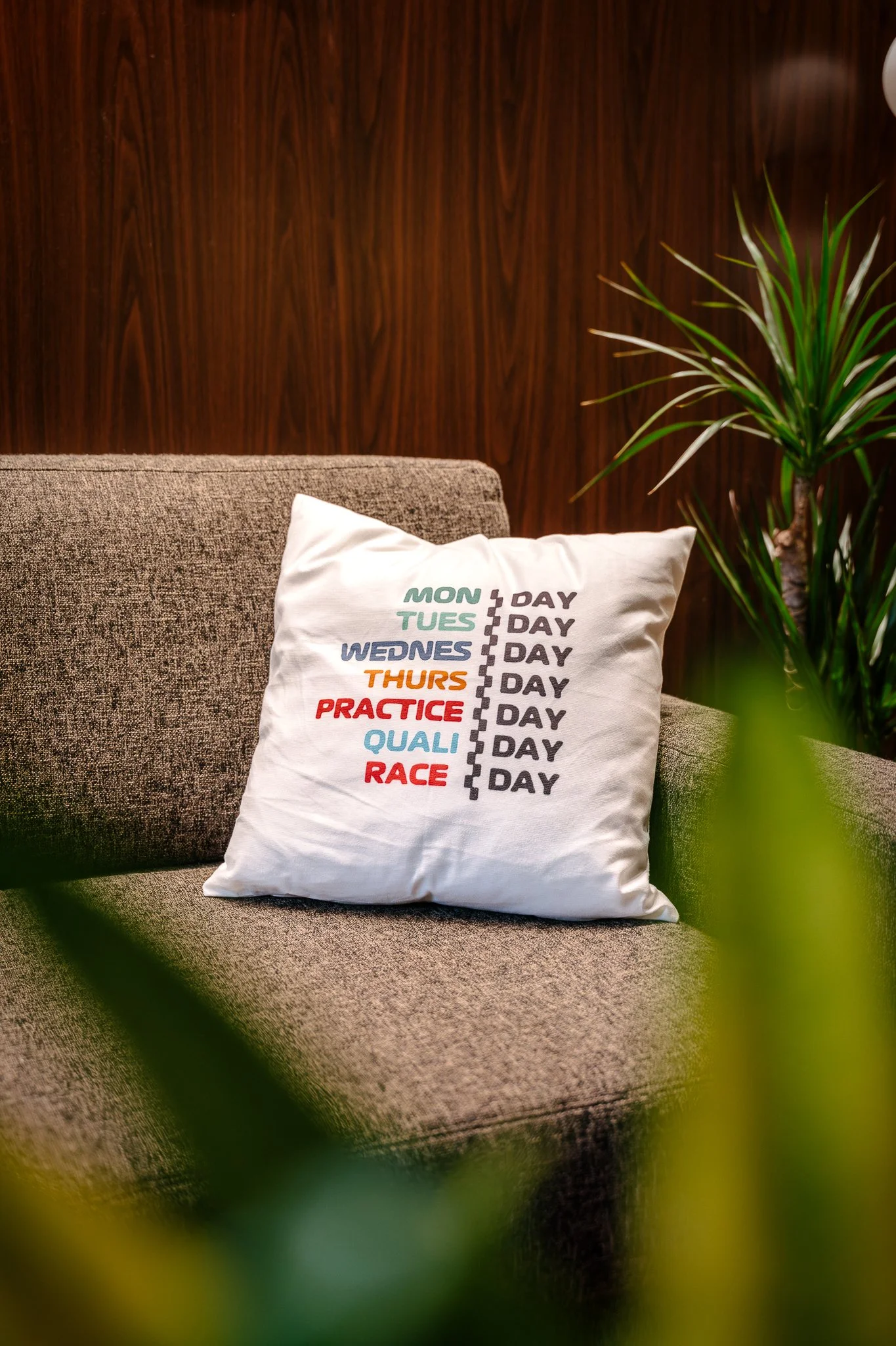 Decorative pillow on a sofa with the days of the week and a practice schedule embroidered on it, in a room with a wood-paneled wall and a large plant.