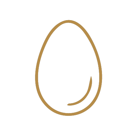 Illustration d'un œuf en forme d'ovale avec un contour marron sur fond noir.