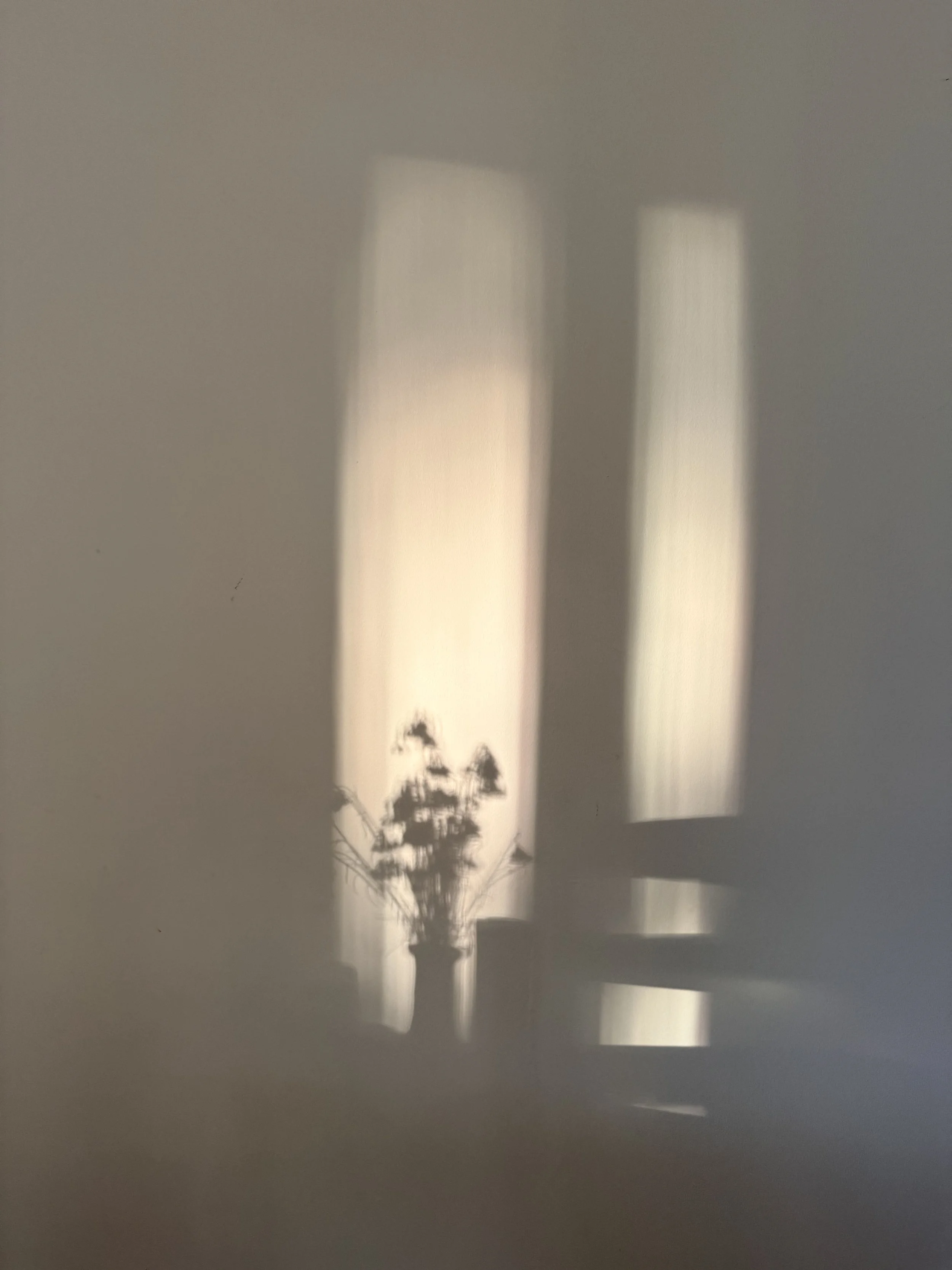 Sunlight streaming through window blinds casting shadows of a tree outside on a wall.