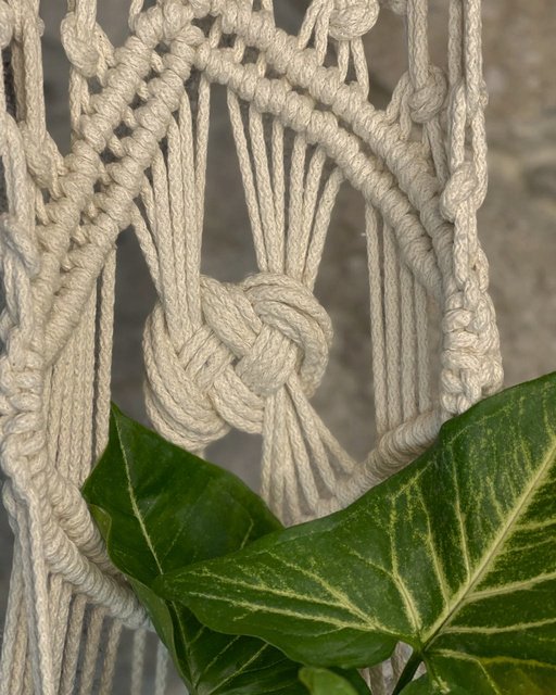 Close-up of a green ivy leaf next to a beige knotted macrame plant hanger.