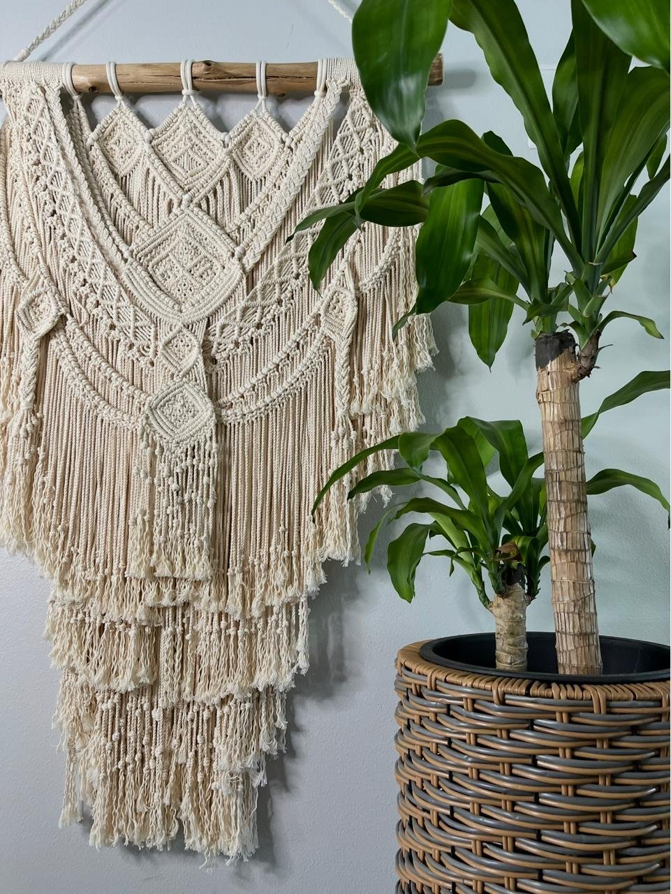 A beige, intricately woven macramé wall hanging with fringe details next to a large potted tropical plant with broad green leaves in a woven basket.