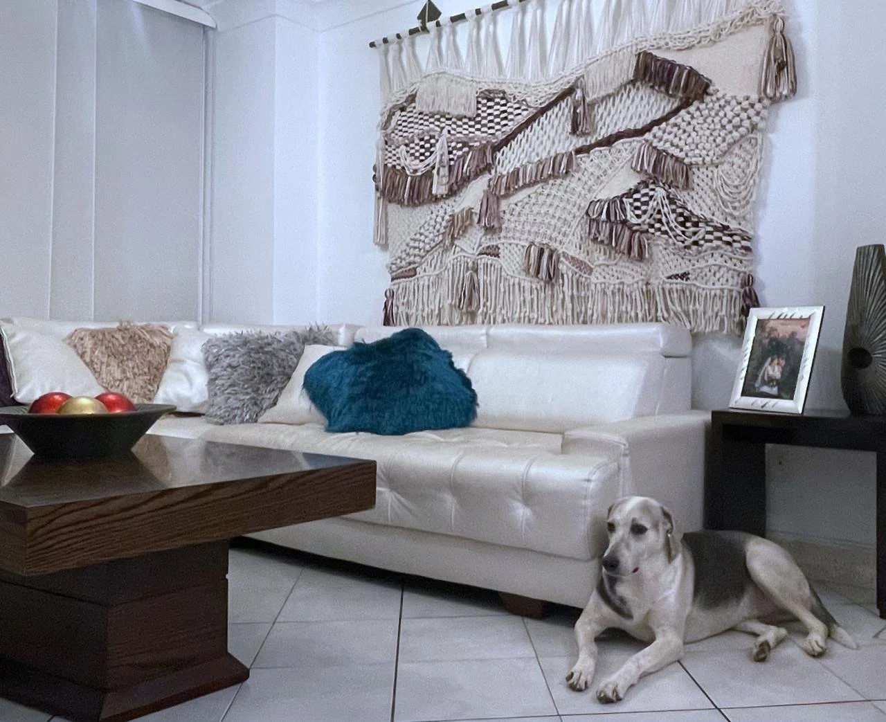 Living room with a white leather sectional sofa decorated with fluffy pillows, a wooden coffee table with a bowl of apples, a framed photograph on a side table, a decorative vase, a framed picture, a colorful woven wall hanging, and a dog lying on th