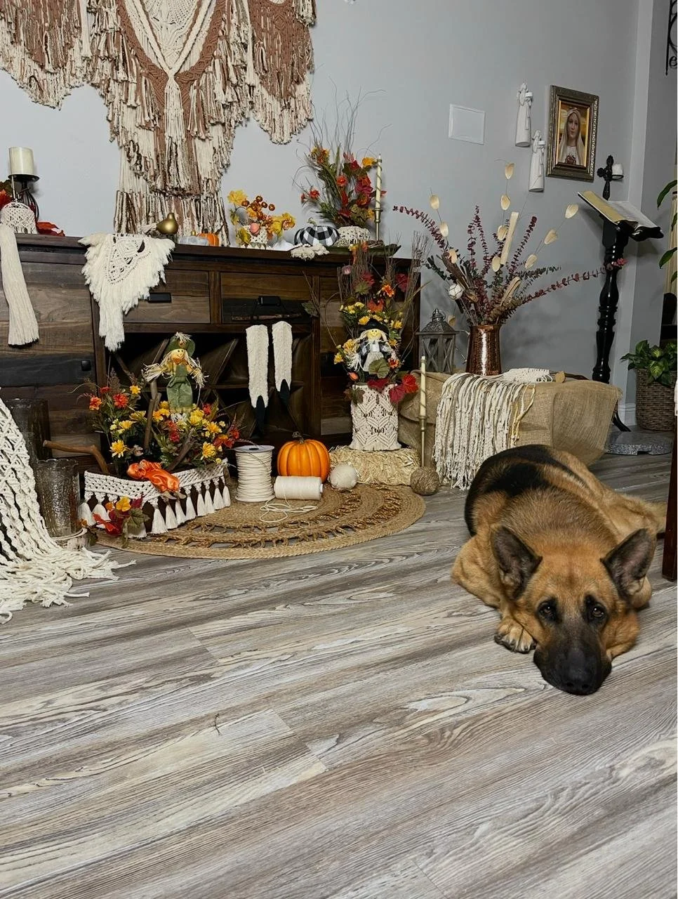A large German Shepherd lying on a wooden floor in a decorated living room. The room features autumn-themed decorations including pumpkins, flowers, and fall accents. There is a frayed wall hanging above a wooden sideboard, with various knickknacks a