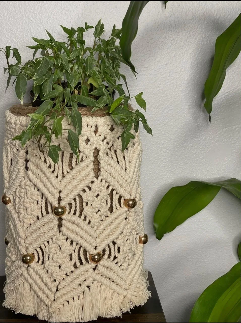 A potted plant with green leaves inside a cream-colored knitted or crocheted decorative cover with a fringe at the bottom, placed on a dark surface against a light wall.