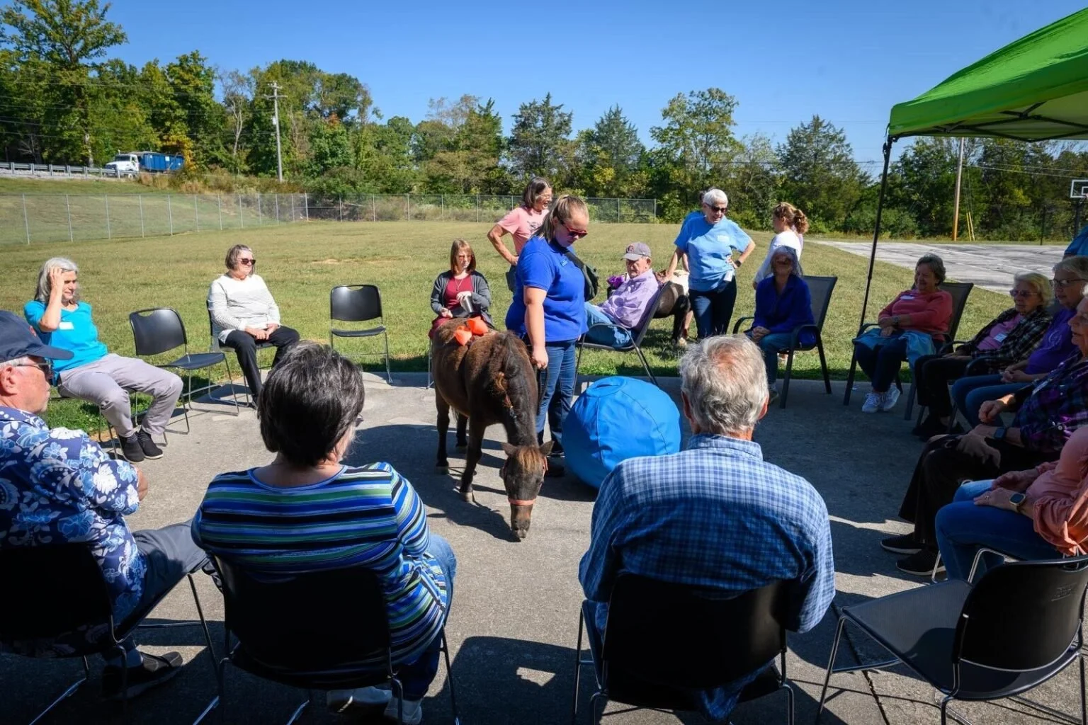 A group of elderly adults sitting in a semi-circle outdoors on a sunny day, watching a dog participating in a pet therapy or demonstration event. Some people are standing, and a dog is being guided by a woman.