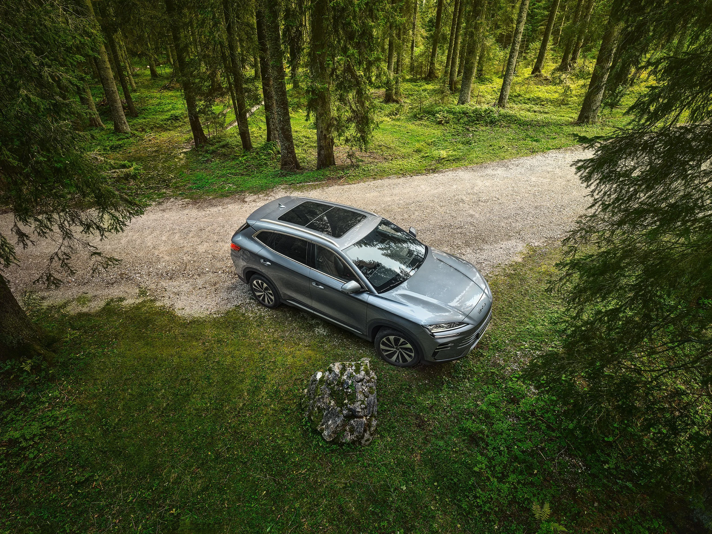 Grauer BYD Seal von oben auf Waldweg zwischen Nadelbäumen – Retusche Bildergut.