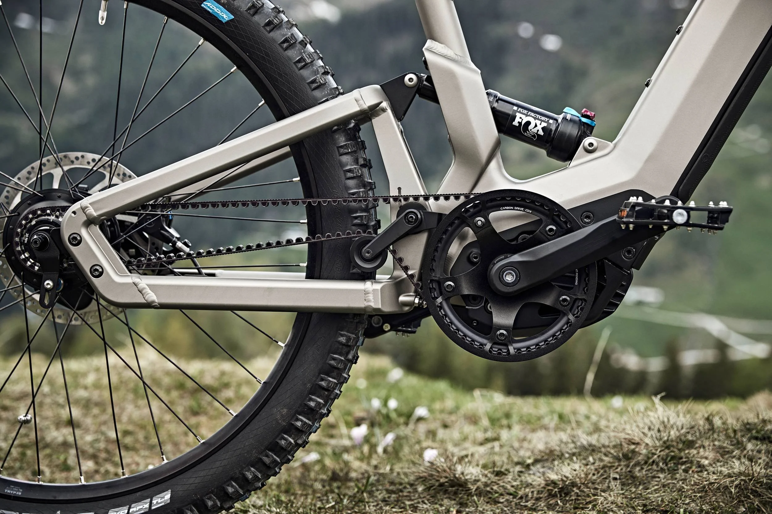 Detailaufnahme von Motor, Riemenantrieb und Rahmen eines Riese & Müller E-Bikes