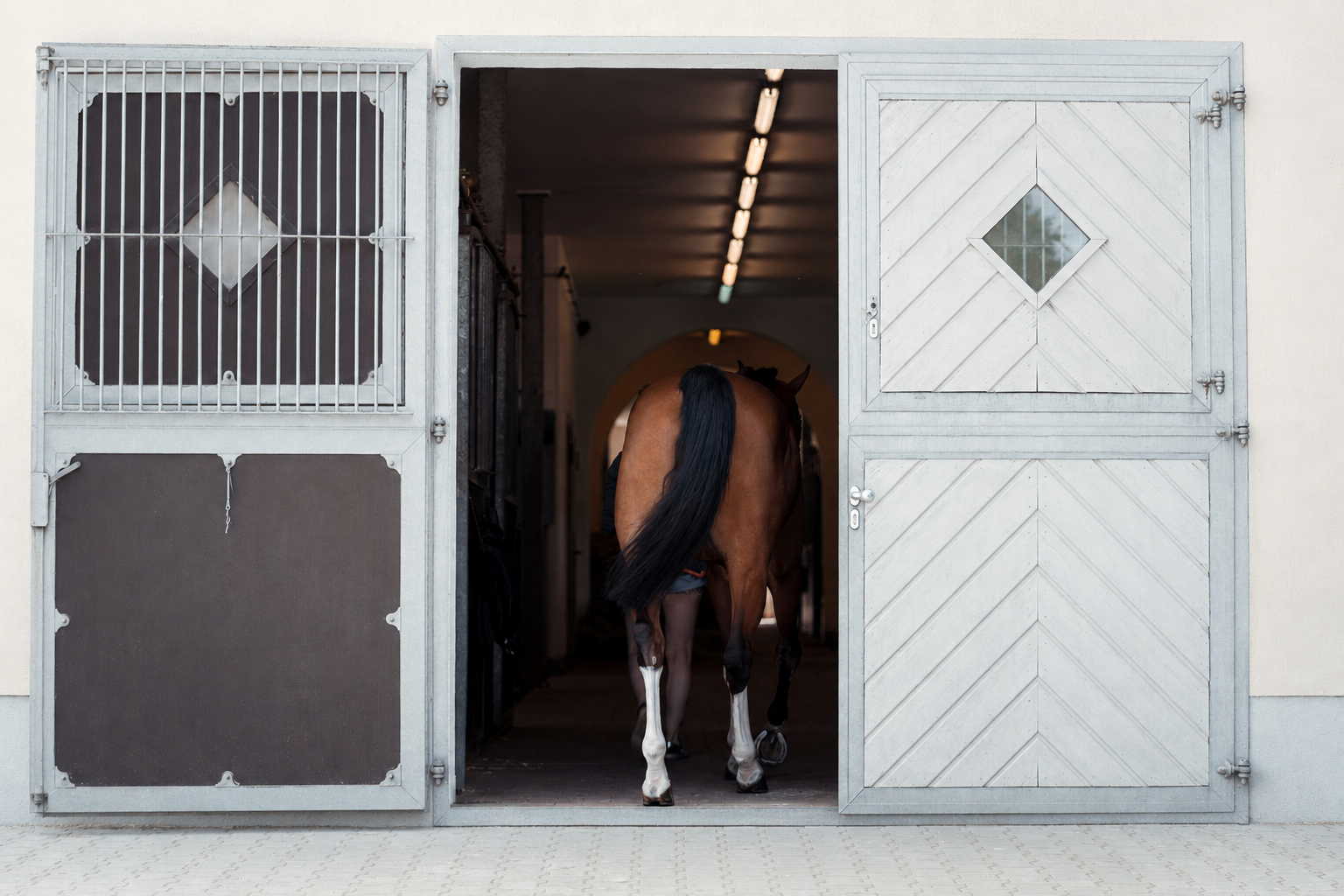 A horse with a brown coat and black tail walking into the South Corner stable through an open door.