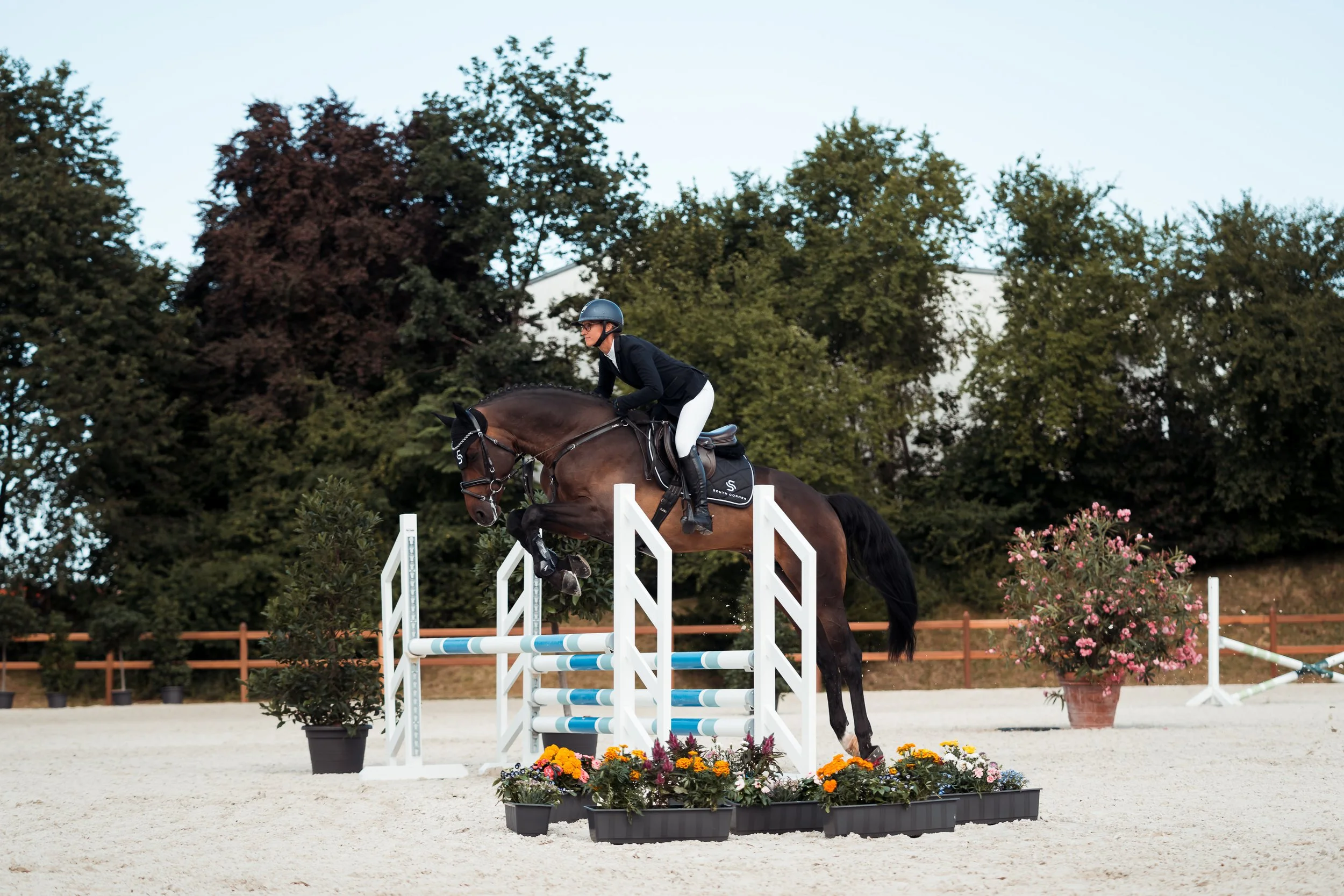 A female equestrian rider in black riding attire and helmet jumps a horse over a show jumping obstacle decorated with potted plants and flowers, outdoor setting with trees and fences in the background.