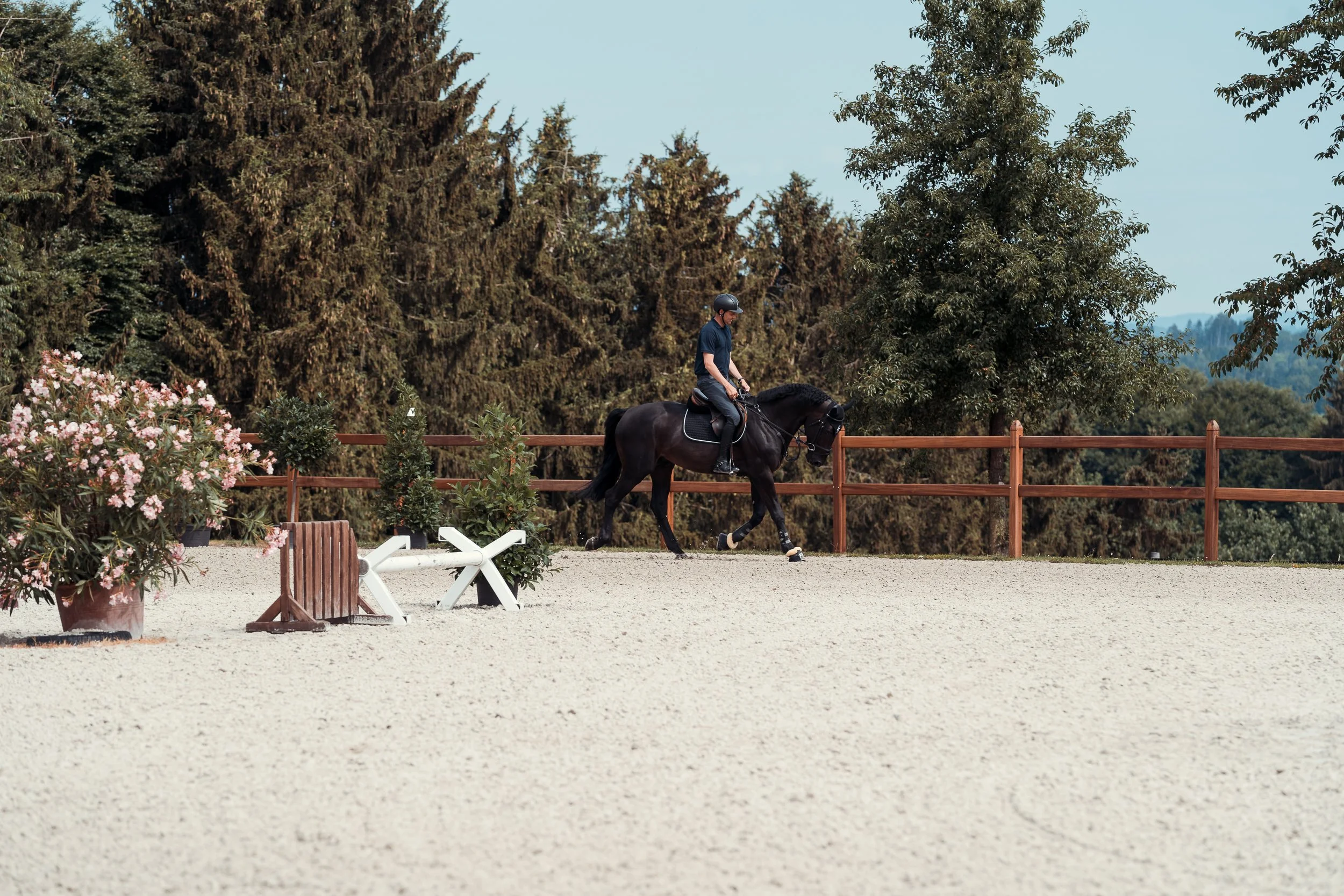 Bjorn Nagel riding South Corner's Illuminati on a sandy outdoor riding arena, with a background of tall green trees, a wooden fence, and pink flowering bushes.