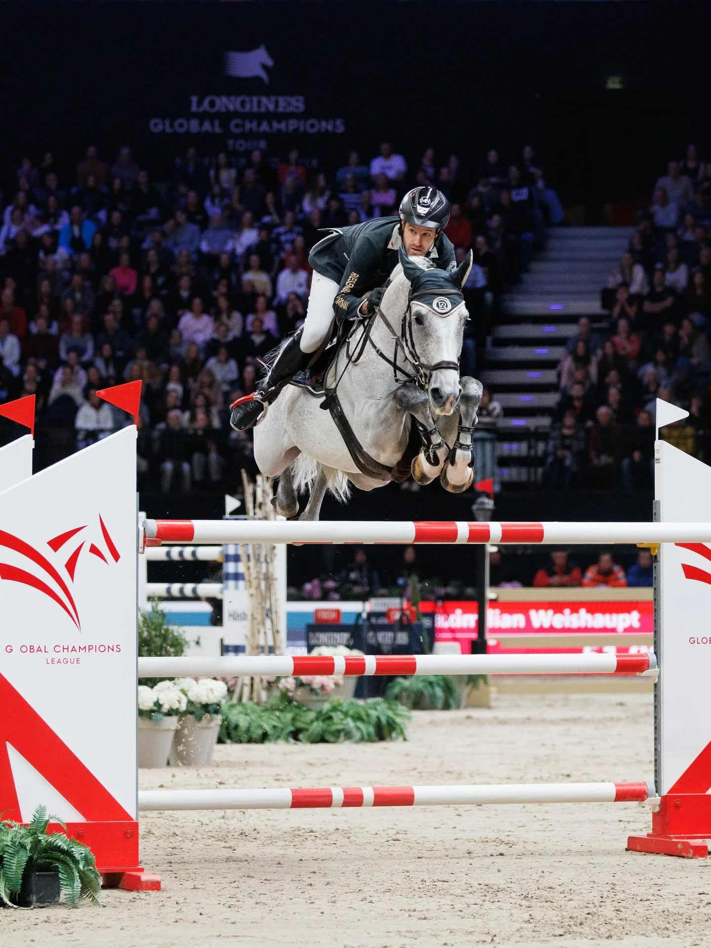 Max Weishaupt in a black helmet and jacket guides his white horse over a show jumping obstacle. The backdrop shows an audience and a scoreboard with the logo of Longines, a brand associated with equestrian sports.
