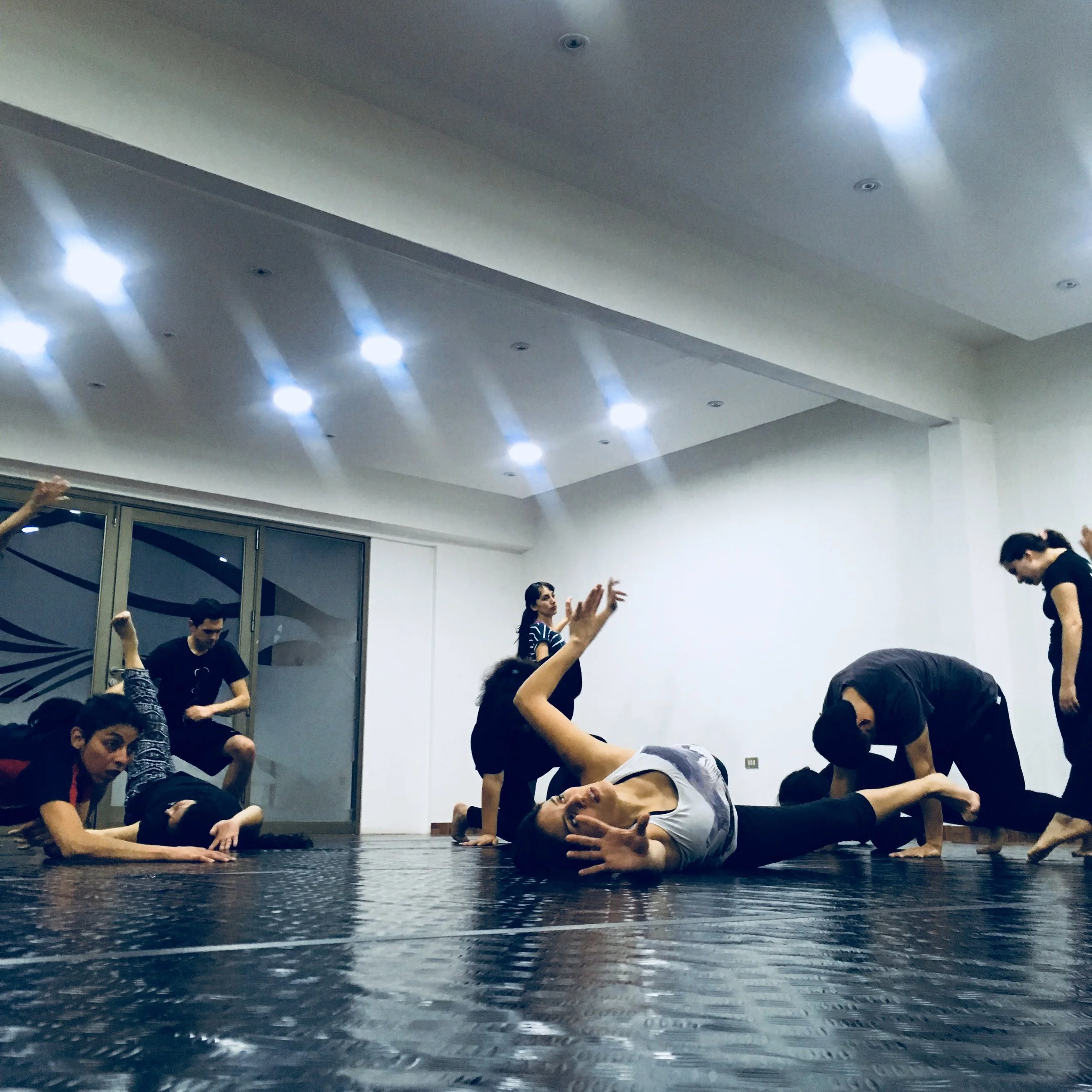 image_6483441 (14).jpeg