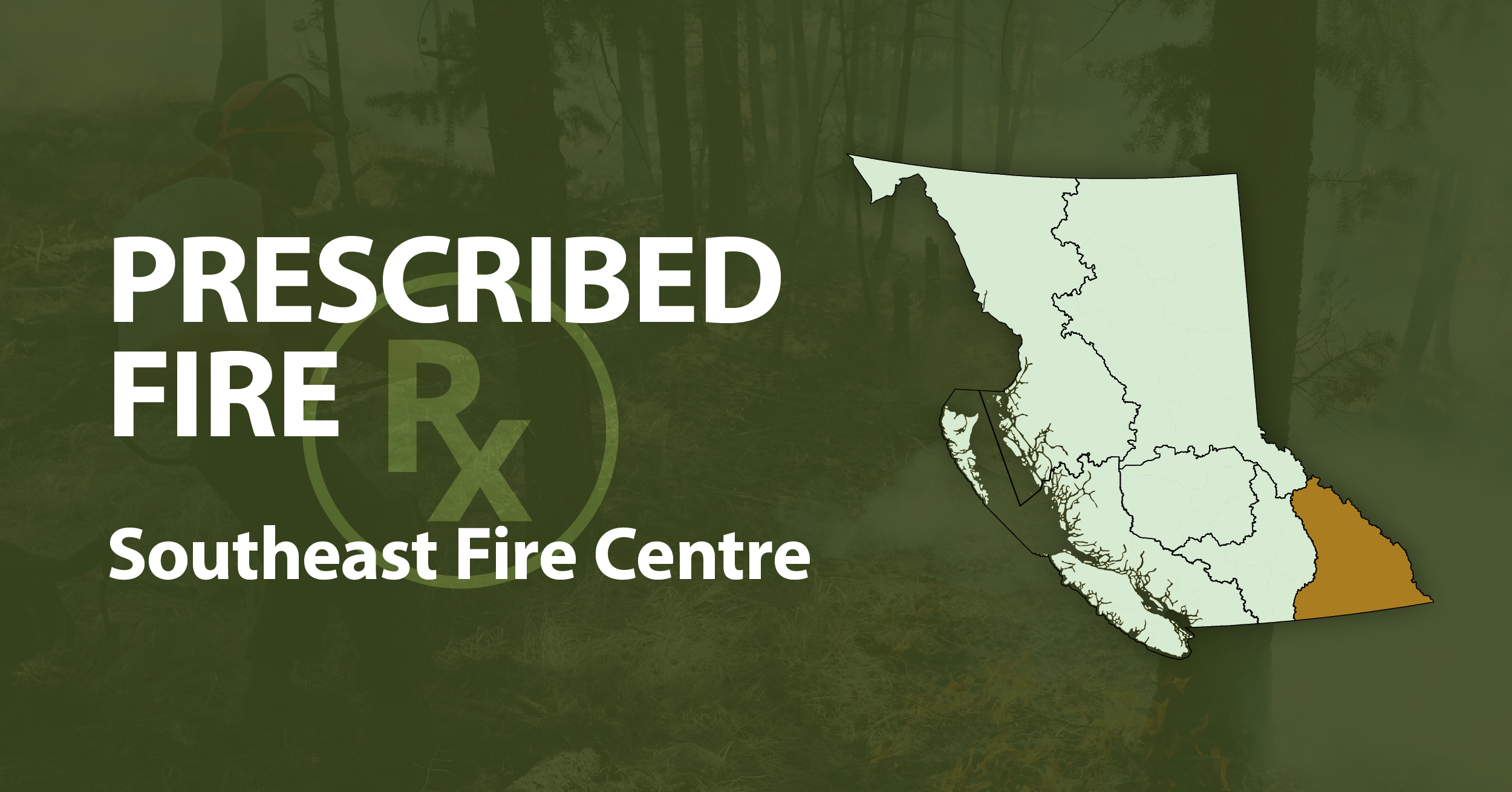 Seven prescribed burns planned across Southeast Fire Centre
