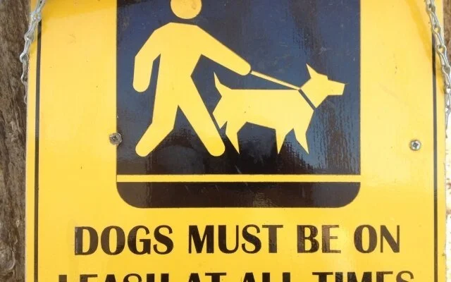 Barking dogs, fine schedule to put more bite in animal control bylaw