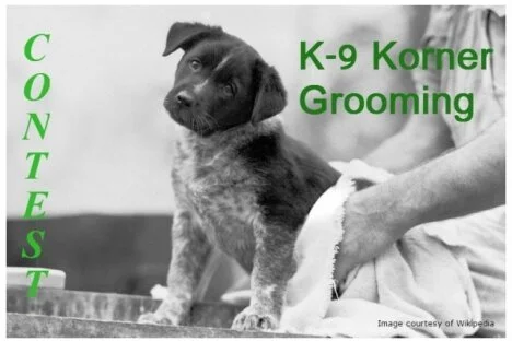 CONTEST: February 2014 -- Sponsored by K-9 Korner Grooming