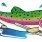 KETTLE RIVER Q&A: The twisted tale of a MAD trout