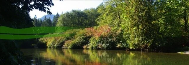 Nature Trust needs to take more responsibility