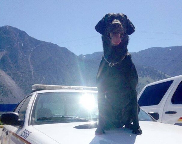 Police road stops nab trio in the South Okanagan for drug-related charges