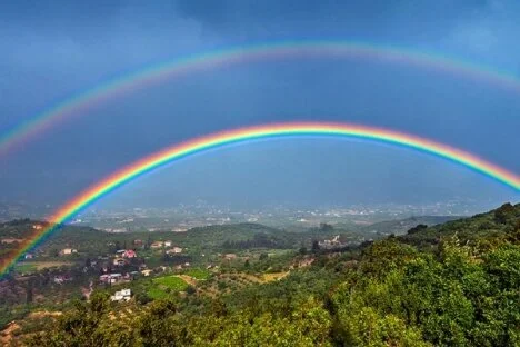 HEAVEN: A magical evening of unicorns, double rainbows, and...er...reasoned democratic discourse
