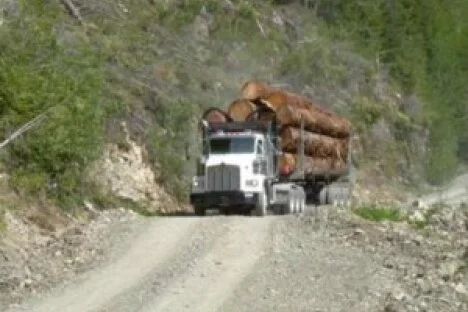 BC government told multi-billion dollar resource road network an asset and a liability