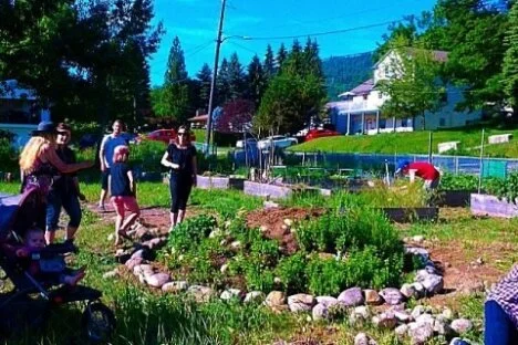 Community Gardens survive internal drought - thanks in large part to city council