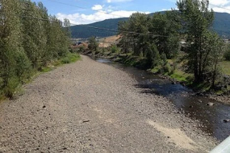 Water use reduction order to protect fish