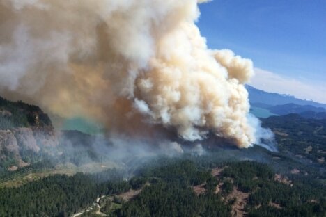 Wood Lake fire near Harrison Lake grows to estimate 1325 hectares