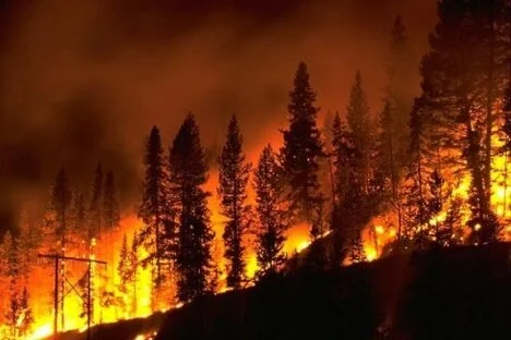 Regional fire update