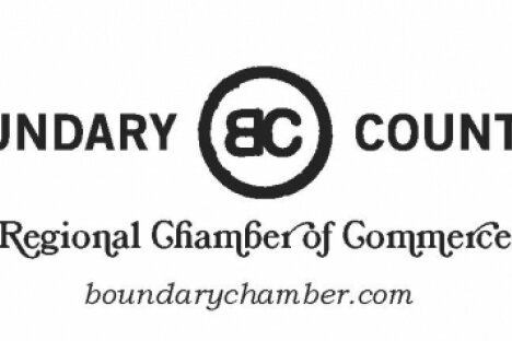 Chamber appoints new director