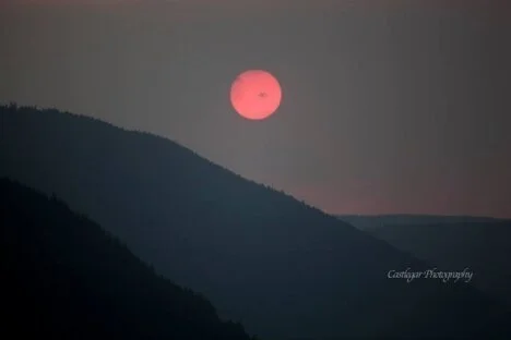 Emergency Operations Committee issues wildfire updates