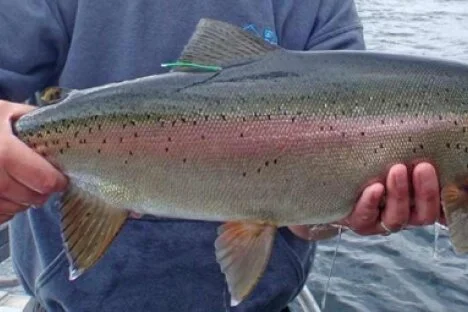 New Kootenay plan secures quality fishing for all anglers