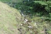 OP/ED: Protect water sources from free ranging cattle