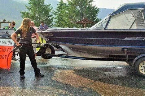 6,100 boats inspected as B.C. leads the fight against invasive mussels