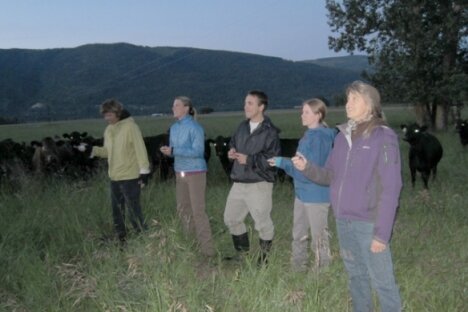 Volunteers need for the annual BC Bat Count