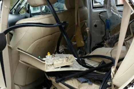 Police release photo after bear in West Vancouver destroys car