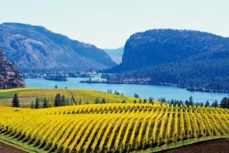 It's about time B.C. wineries catch a break in selling product