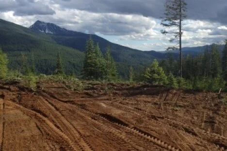 Local Armed Forces + non-profit community group = fun new recreation destination in Rossland Range