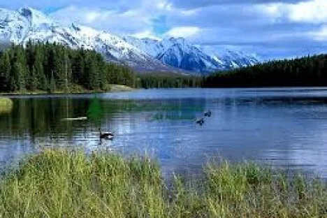 Concerns over Banff lake closure puts British Columbia on alert for whirling disease