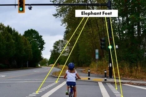 Let’s talk Elephant Feet - crosswalk bicycle rules clarified