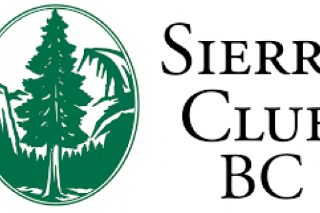 Sierra Club calls Petronas approval a betrayal of salmon and climate