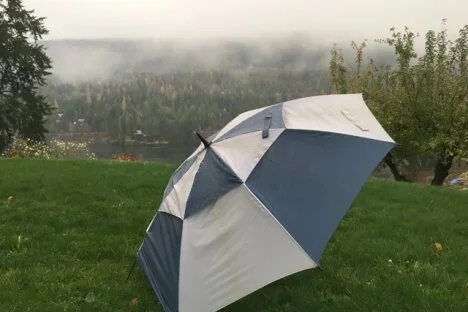 October — Wettest month since 1960s