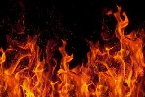 Fire forces eight people/two cats from Columbia Avenue home