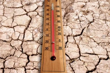 COLUMN: 'Collective cowardice' on climate change
