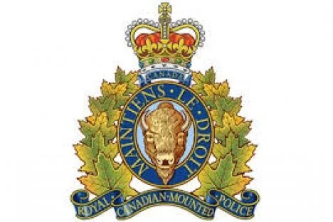Salmo man killed in car accident Sunday near Village