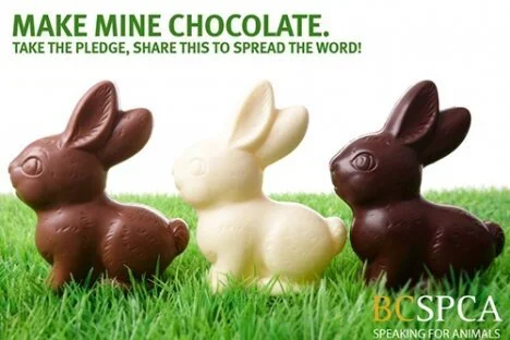 Better to give chocolates bunnies at Easter